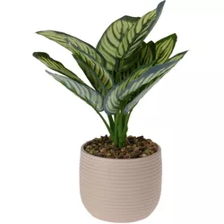 Sztuczna Calathea w doniczce ceramicznej, 12 x 26 cm, beżowy